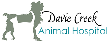 Davie Creek Animal Hospital Logo